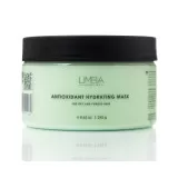 LIMBA Home Line Маска антиоксидантная, для сухих и пористых волос | 245г | LIMBA Cosmetics Antioxidant Hydrating Mask for dry and porous hair