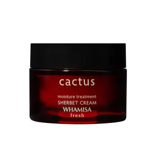 WHAMISA Fresh Cactus Крем-щербет для интенсивного увлажнения на основе экстракта кактуса | 45г | Cactus Sherbet Cream (AW0445)