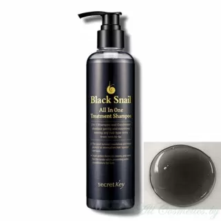 Secret Key Black Snail 2в1 шампунь и кондиционер для волос, с экстрактом муцина черной улитки | 250мл | Black Snail All in One Treatment Shampoo