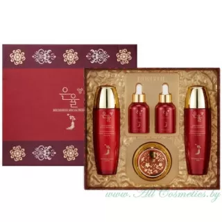 EUNYUL Red Ginseng Набор средств с экстрактом красного женьшеня, питательный, омолаживающий | Red Ginseng Special Program, 5 Set