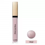 the SAEM ECO SOUL Блеск для губ, PK02 | 3.4г | ECO SOUL Shine Lip Gloss, PK02 Pink Aurora