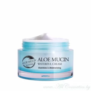 the SKIN HOUSE ALOE MUCIN Крем для лица, с муцином Алоэ | 50мл | ALOE MUCIN Waterful Cream