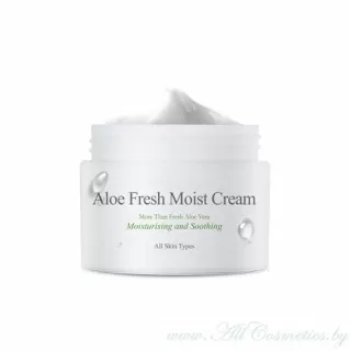 the SKIN HOUSE Aloe Fresh Крем для лица, с экстрактом Алоэ | 50мл | Aloe Fresh Moist Cream