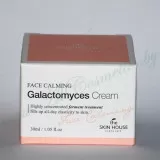 the SKIN HOUSE Galactomyces Крем для лица, ферментированный, для повышения эластичности кожи | 30мл | Face Calming Galactomyces Cream